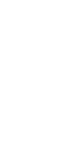 background-law-1-branco