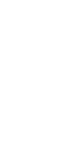 background-law-6-branco