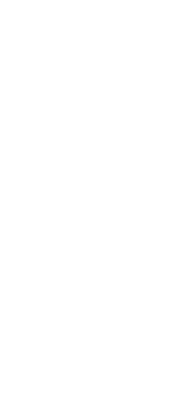 background-law-6-branco